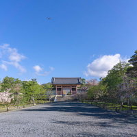 中門へと続く朝の仁和寺参道と空に舞う撮影用のドローンの写真
