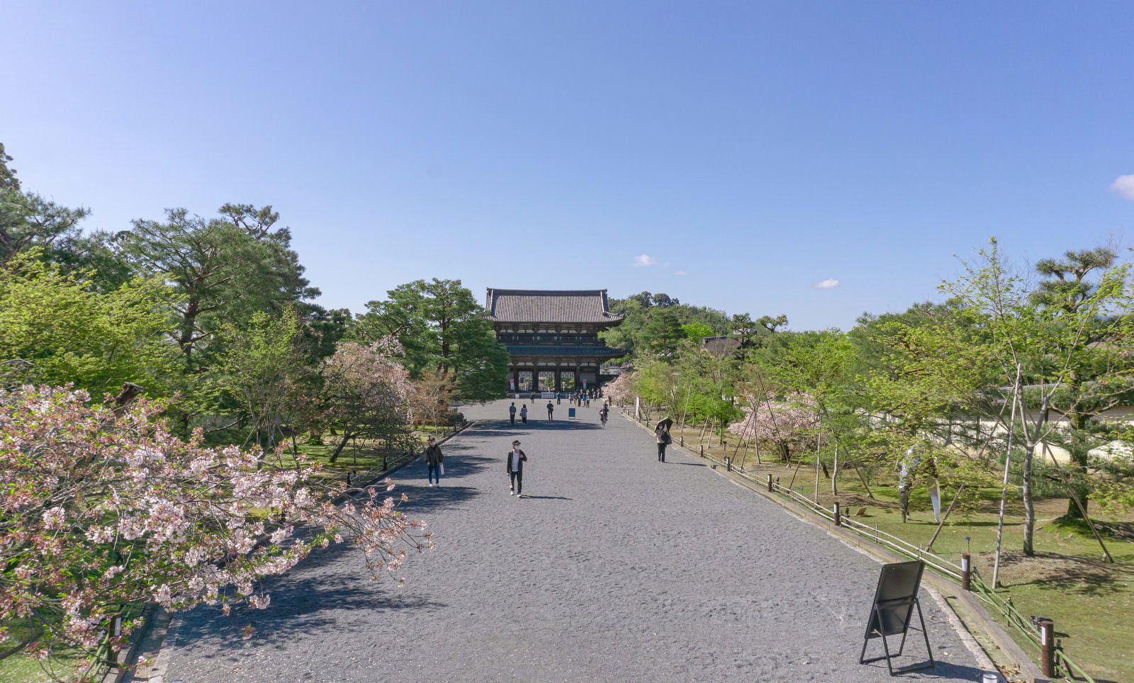 仁和寺の境内で見頃の桜を楽しむ参拝者たちと寺院の門