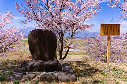六道の堤に建てられた伊那谷所縁の俳人井上井月（いのうえせいげつ）の歌碑