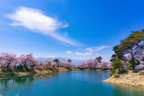 六道の堤の春景色