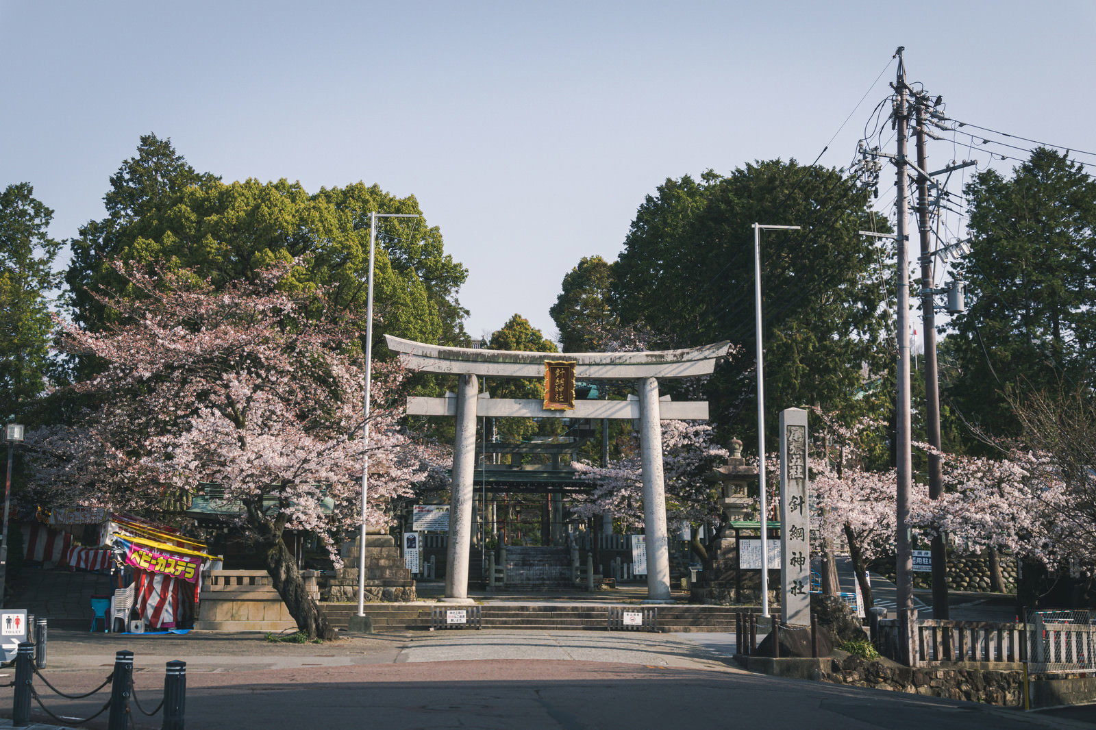 満開の桜に囲まれた針綱神社の石の鳥居と石畳の参道