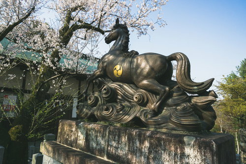 桜の時期の針綱神社御神馬像