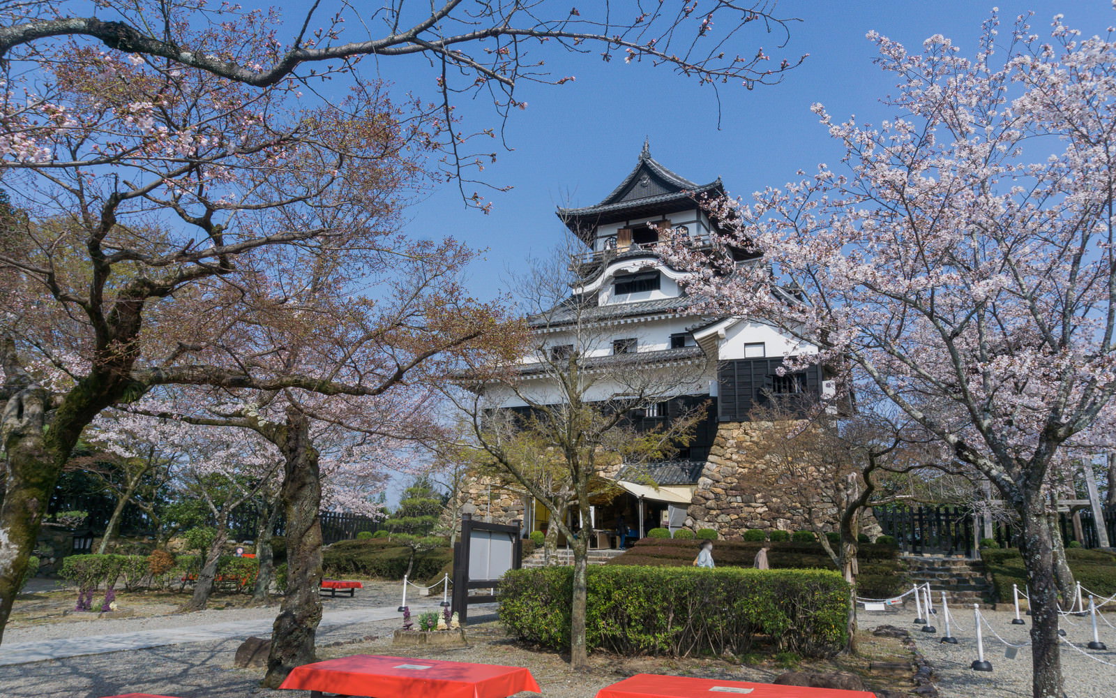 桜咲く犬山城城内に並ぶ赤い床几台と天守閣