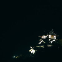 暗闇と森に囲まれた中ライトアップされて輝く犬山城天守閣の写真