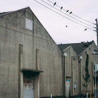 カラスが集まる古びた港の倉庫の写真