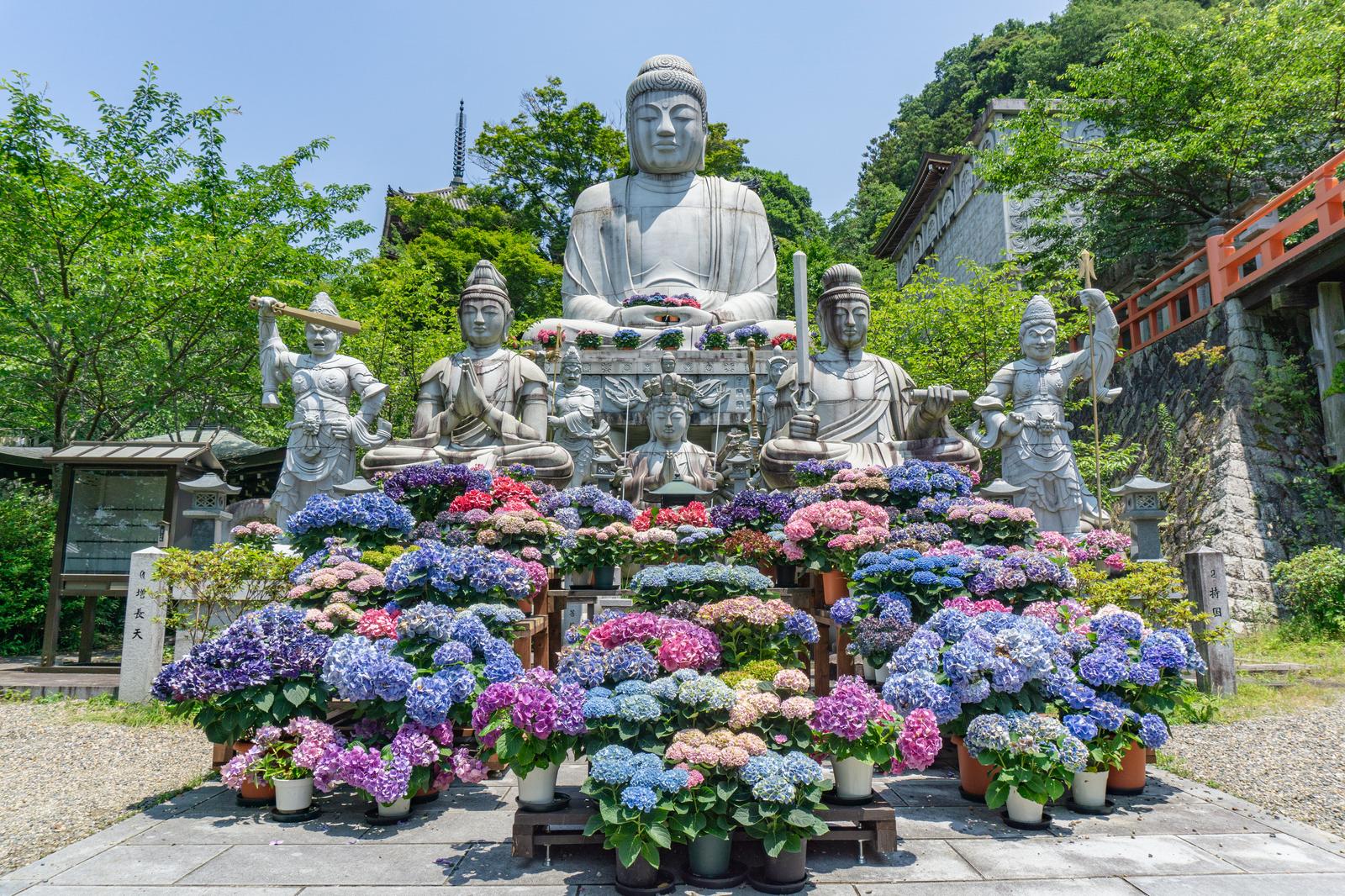 壷阪寺の大釈迦如来石像と鉢植えの紫陽花