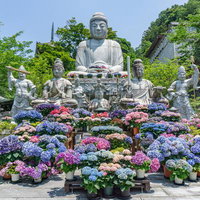 見事に咲き誇る紫陽花と御前立ての石仏の背後に座す台座も含めれば身丈15ｍになる壷阪寺の大釈迦如来石像の写真