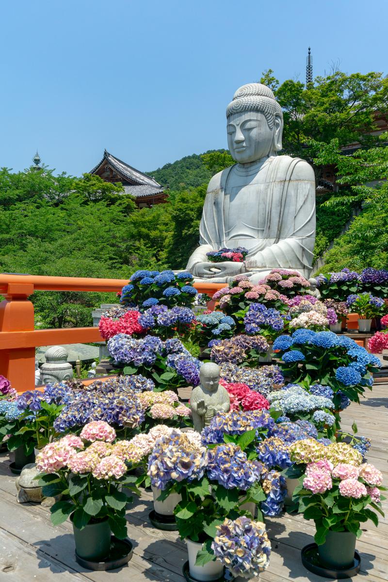 紫陽花に囲まれた大仏と手のひらに花を抱えた石像