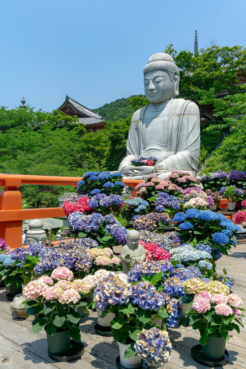 お地蔵様を囲むように並べられた紫陽花とその向こうに見える手のひらに紫陽花を抱えた大仏様