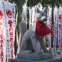 奉納された幟に囲まれた狐の像の写真