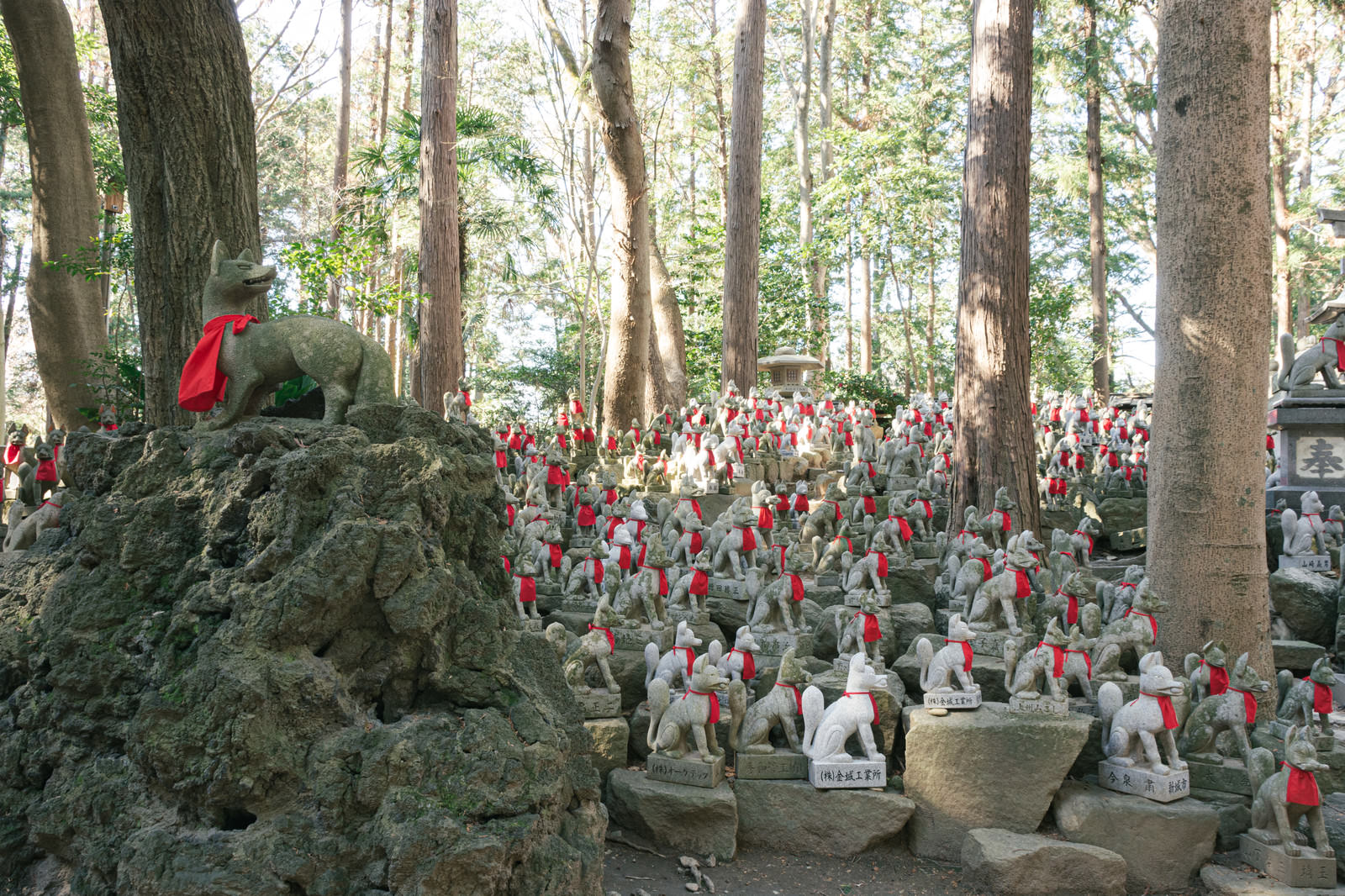 Many fox stone statues and red aprons at the Fox Mound of Toyokawa Inari Shrine