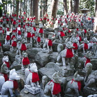 よく見るといろいろな顔の狐像が奉納されている霊狐塚の写真