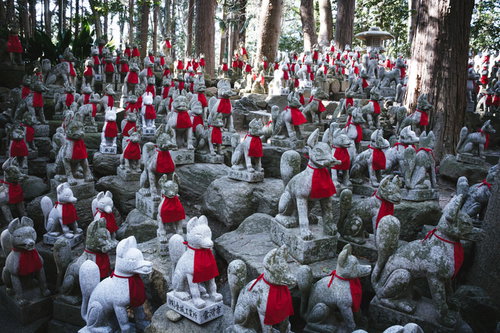 よく見るといろいろな顔の狐像が奉納されている霊狐塚