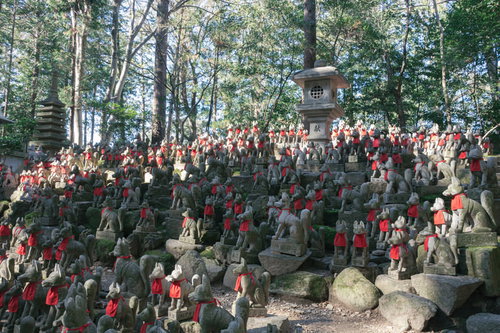 木漏れ日を浴びて奉納された多くの狐像が立ち並ぶ霊狐塚の風景