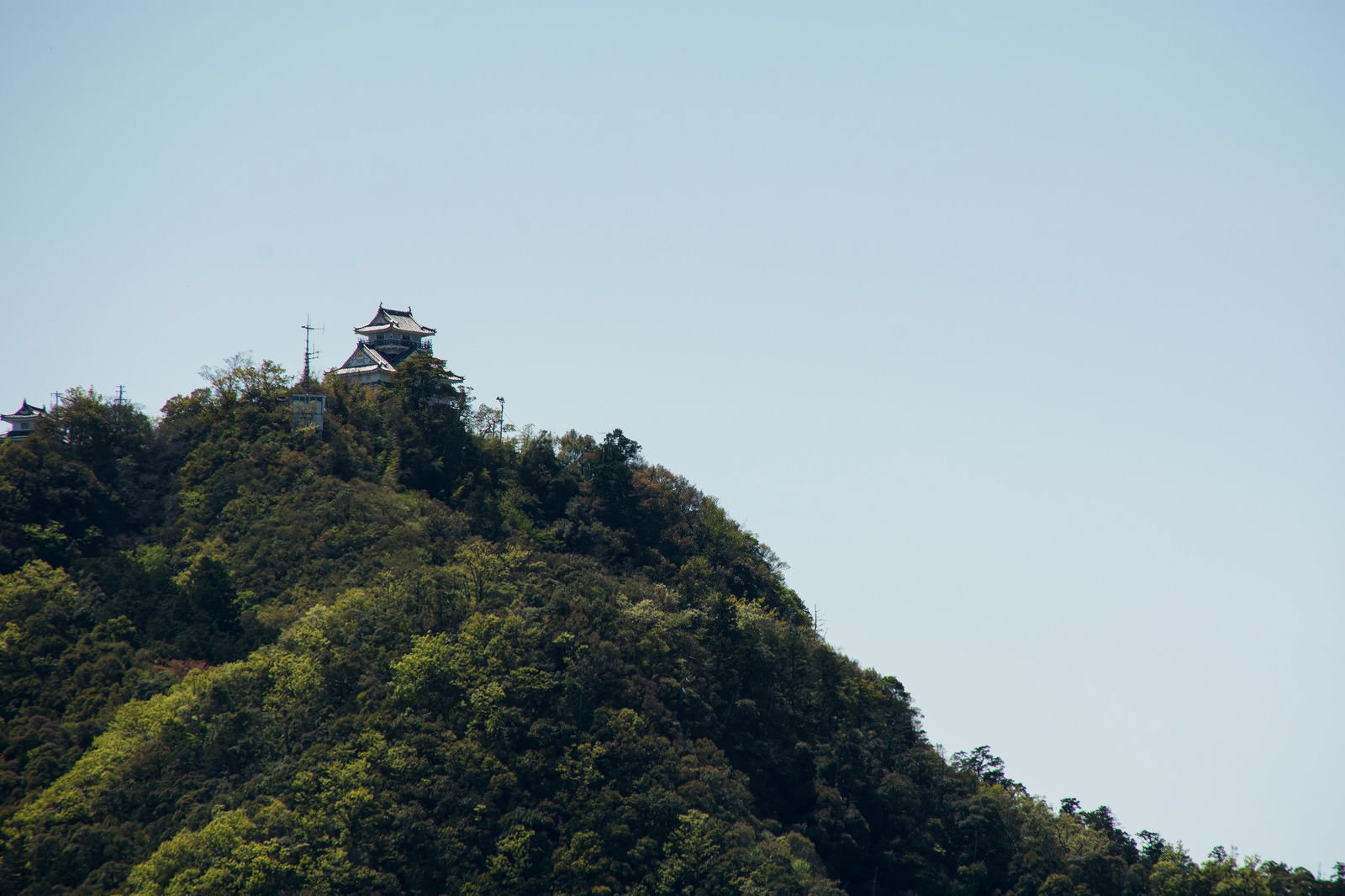 金華山の山頂に建つ岐阜城の遠景