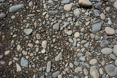 踏み固められたように石がいっぱい埋まっている河原の石（テクスチャー）