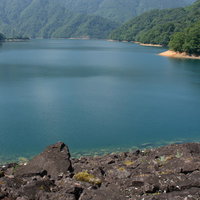 天端から見る緑深い山に囲まれた九頭竜湖（福井県大野市）の写真