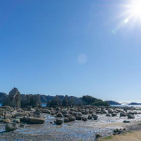 干潮時の海岸に無数に広がる橋杭岩と青空の風景の写真
