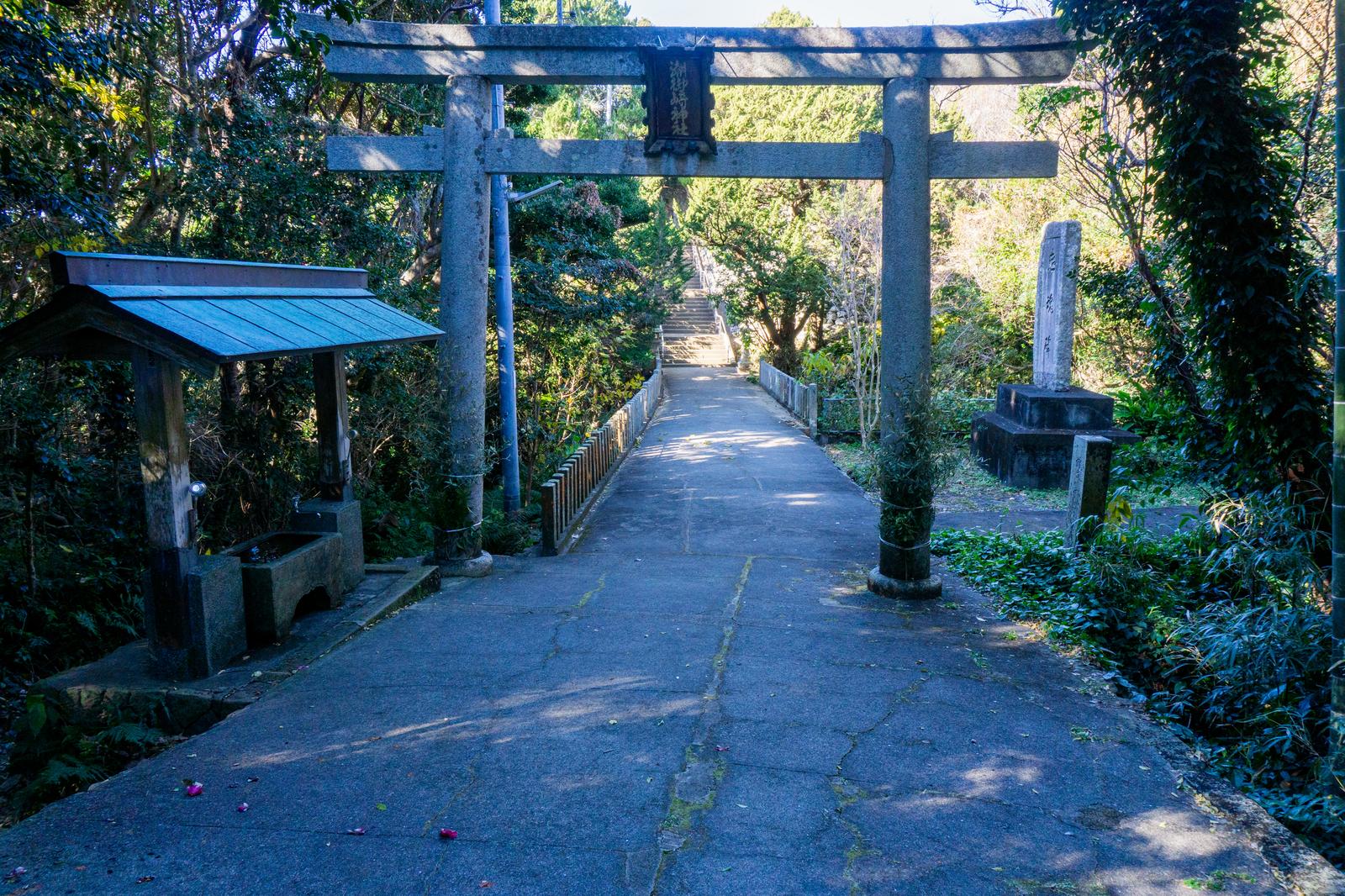 木々に囲まれた神社の鳥居と参道