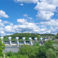 青空の下下流側の木々の隙間から姿を覗かせる明治用水頭首工の写真