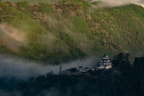 霧が晴れ山上に姿を現した郡上八幡城