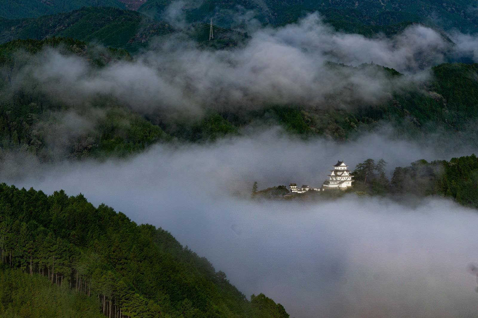 雲海の中に浮かぶ郡上八幡城