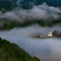 緑豊かな山々と乳白色の雲海に囲まれる郡上八幡城の写真