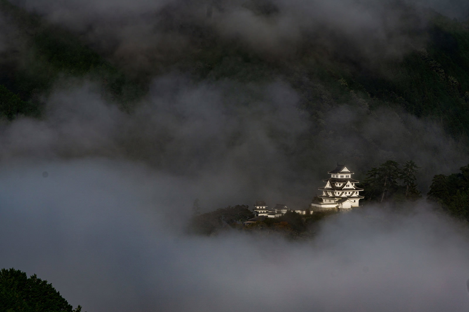 雲海に包まれて幻想的な姿を見せる郡上八幡城の天守閣