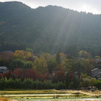 朝の光が降り注ぐ紅葉に彩られた大原の里の写真