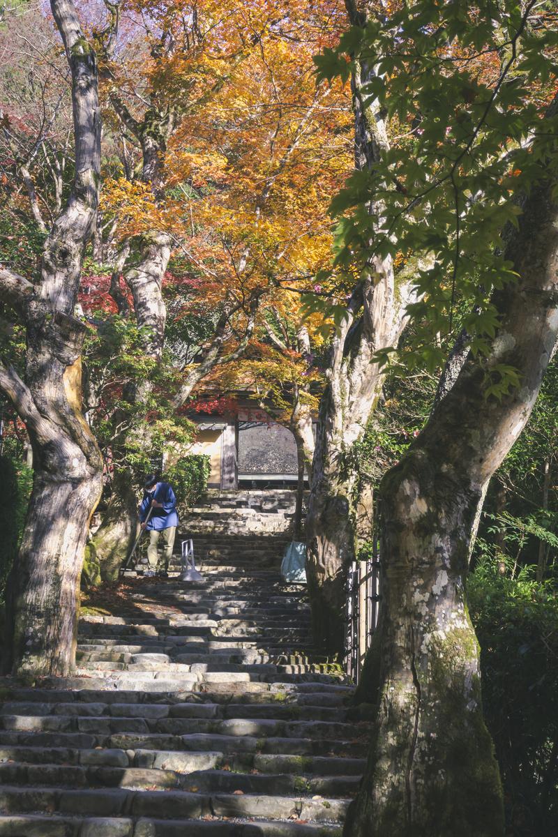 寂光院の紅葉が映える石段を歩む青いリュック姿の参拝者