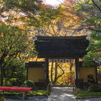 本堂側から見た紅葉した木々を背に建つ山門と緋毛氈の床几台の写真