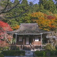 色づいた木々を背に建つ寂光院の本堂の写真