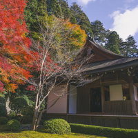 寂光院本堂を西側から眺めるの写真