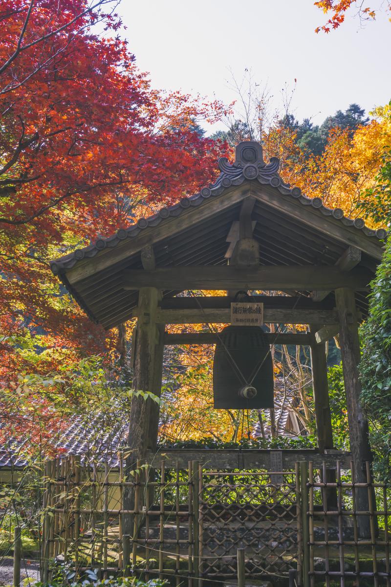紅葉に囲まれた奈良の寂光院の鐘楼。赤橙色のカエデに覆われた秋の境内