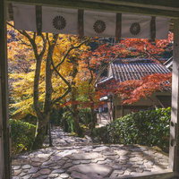 山門下から見た石段の写真