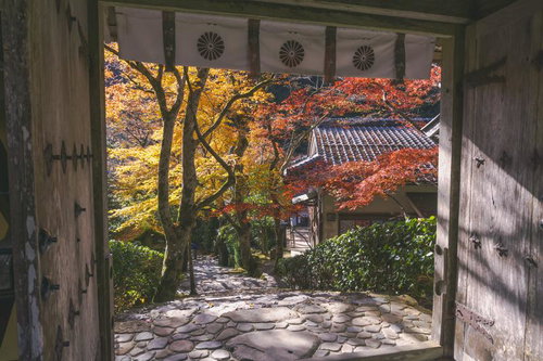 山門下から見た石段