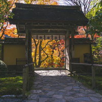 本堂から山門へと続く石畳と日に輝く錦を背に立つ山門の写真