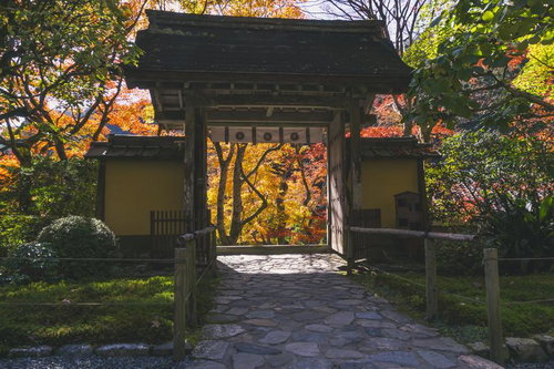 本堂から山門へと続く石畳と日に輝く錦を背に立つ山門