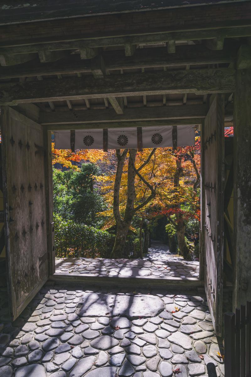寂光院の山門を通して見た紅葉に染まる参道と秋の風景