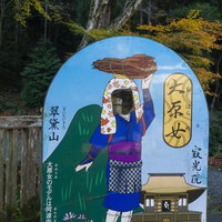 顔をのぞかせる伝統、参拝と顔ハメ看板の交差の写真