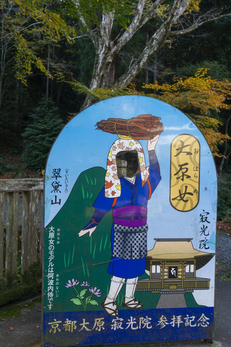 京都の寺院境内の顔ハメ看板。竹の束を担ぐ女性イラストが描かれ、背後に秋の樹木が映っている
