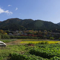 目の前に広がる畑の向こうに見える秋の大原の里の写真