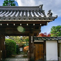 秋の特別拝観で参拝者を迎え入れる大法院の門の写真