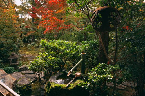 釣り灯篭と手水鉢が風情を醸し出す