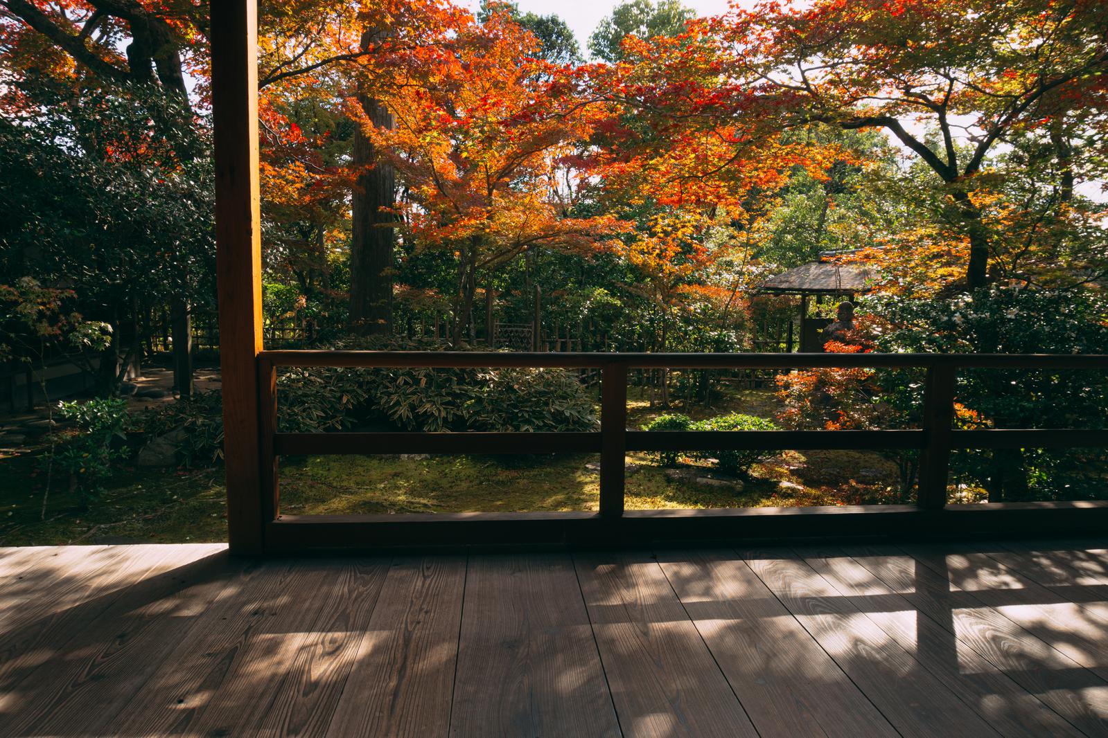 京都の寺院で濡れ縁から見た秋の紅葉と庭園の光景