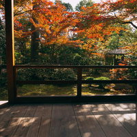 濡れ縁の先に広がる秋の露地庭の写真