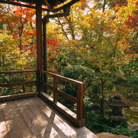 濡れ縁の上から眺める秋に染まり始めた庭の写真