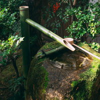 庭の隅で水をたたえる苔の美しい手水鉢の写真