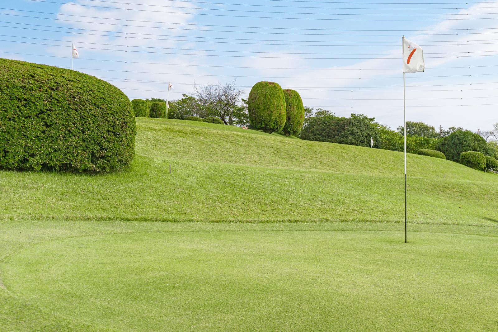 パターゴルフ場の７番ホール、白と橙色のフラッグが立つピンの周りに整備された緑の芝生が広がる景観