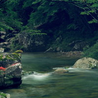 小戸名渓谷の岩つつじの写真